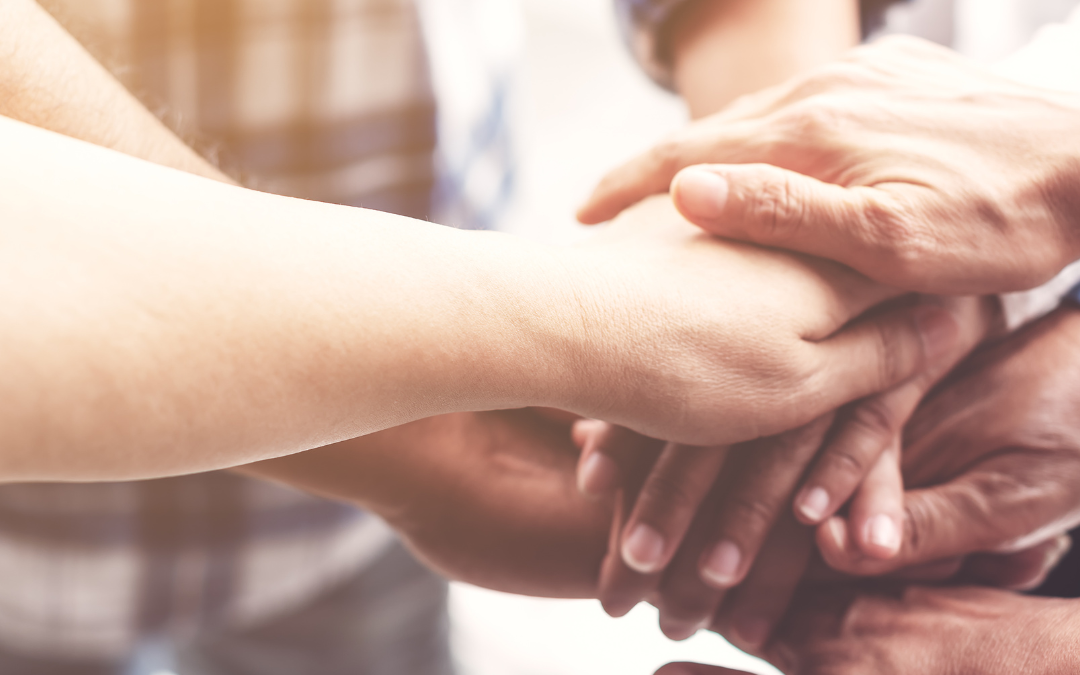 NDIS Provider Brisbane: Positive Behaviour Support Promoting Well-being